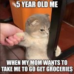 Angry cat | 5 YEAR OLD ME; WHEN MY MOM WANTS TO TAKE ME TO GO GET GROCERIES | image tagged in angry cat,funny | made w/ Imgflip meme maker