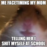 HAMPTeR | ME FACETIMING MY MOM; TELLING HER I SHIT MYSELF AT SCHOOL | image tagged in hampter | made w/ Imgflip meme maker