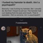 Hamster Exploded meme