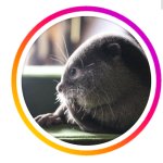Kotaro New Icon