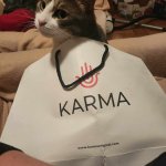 Mozart the Karma cat