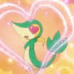 Snivy in love