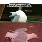 seagull | Vegans drinking strawberry milk realizing that its not from strawberries | image tagged in inhales dies | made w/ Imgflip meme maker
