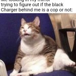 Normal people should stop buying black DODGE Chargers | Me looking in my mirror trying to figure out if the black Charger behind me is a cop or not: | image tagged in squinting cat | made w/ Imgflip meme maker