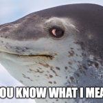 Leonard Seal | IF YOU KNOW WHAT I MEAN... | image tagged in leonard seal | made w/ Imgflip meme maker