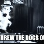 Uhh ohh! | WHO THREW THE DOGS OUT? ….. | image tagged in gifs,funny,dogs,funny dogs | made w/ Imgflip video-to-gif maker