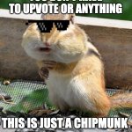 chipmunk moment | YOU DON'T HAVE TO UPVOTE OR ANYTHING; THIS IS JUST A CHIPMUNK | image tagged in chipmunk | made w/ Imgflip meme maker