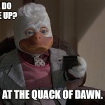 Daily Bad Dad Joke March 19, 2024 | WHAT TIME DO DUCKS WAKE UP? AT THE QUACK OF DAWN. | image tagged in howard the duck | made w/ Imgflip meme maker