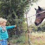 Kid pointing at horse