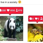 we live in a society instagram | image tagged in we live in a society instagram,memes,animal meme,funny animal meme,shitpost,nature | made w/ Imgflip meme maker