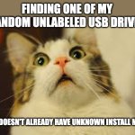 Most of my USB drives have long forgotten bootable media but I'm too afraid to erase them | FINDING ONE OF MY RANDOM UNLABELED USB DRIVES; THAT DOESN'T ALREADY HAVE UNKNOWN INSTALL MEDIA | image tagged in surpised cat,usb,drive,media,install,what | made w/ Imgflip meme maker