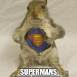 what will you do? | SUPERMANS OWN SQUIRREL | image tagged in this guy is a hero | made w/ Imgflip meme maker