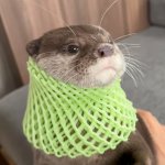 Kotaro With a Scarf