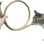 Cat Trumpet