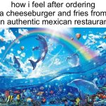 yay!! | how i feel after ordering a cheeseburger and fries from an authentic mexican restaurant | image tagged in happy dolphin rainbow,offensive,funny,memes | made w/ Imgflip meme maker
