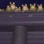 roof frogs