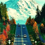 Road to Mt Rainier, Washington