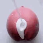 peach GIF Template