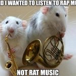 musical animals | I SAID I WANTED TO LISTEN TO RAP MUSIC; NOT RAT MUSIC | image tagged in musical animals | made w/ Imgflip meme maker