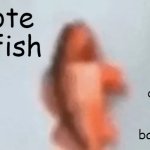 uhhhhhu uuhhh yeah | upvote for fish; downvote if you're a basic ass mf | image tagged in fish | made w/ Imgflip meme maker