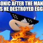 pro | SONIC AFTER THE MANY TIMES HE DESTROYED EGGMAN: | image tagged in sonic meme | made w/ Imgflip meme maker