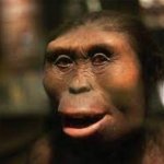 Lucy the ape :)
