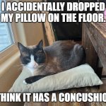 Daily Bad Dad Joke March 21, 2024 | I ACCIDENTALLY DROPPED MY PILLOW ON THE FLOOR. I THINK IT HAS A CONCUSHION. | image tagged in pillow cat | made w/ Imgflip meme maker