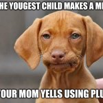 Dissapointed puppy | POV: THE YOUGEST CHILD MAKES A MISTAKE; BUT YOUR MOM YELLS USING PLURALS | image tagged in dissapointed puppy | made w/ Imgflip meme maker