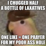 Gonb | I CHUGGED HALF A BOTTLE OF LAXATIVES; ONE LIKE = ONE PRAYER FOR MY POOR ASS HOLE | image tagged in gonb | made w/ Imgflip meme maker