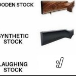 Laughing Stock | :/ | image tagged in laughing stock,memes | made w/ Imgflip meme maker