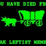 Oregon trail | YOU HAVE DIED FROM; WEAK LEFTIST MEMES | image tagged in oregon trail | made w/ Imgflip meme maker