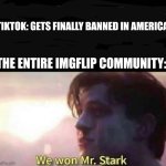 We won Mr. Stark | TIKTOK: GETS FINALLY BANNED IN AMERICA; THE ENTIRE IMGFLIP COMMUNITY: | image tagged in we won mr stark,memes,tiktok sucks,usa,banned | made w/ Imgflip meme maker