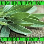 Sage | ENJOY LIFE WHILE YOU CAN; STAY TUNED FOR MORE SAGE ADVICE | image tagged in sage | made w/ Imgflip meme maker