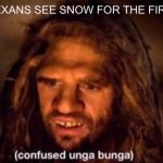 Texas never gets snow | THEN TEXANS SEE SNOW FOR THE FIRST TIME | image tagged in confused unga bunga | made w/ Imgflip meme maker