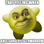 Shirby | THAT FEELING WHEN; KNEE SURGERY IS TOMORROW | image tagged in shirby | made w/ Imgflip meme maker