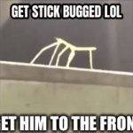 Stick bug | LETS GET HIM TO THE FRONT PAGE | image tagged in gifs,get stick bugged lol | made w/ Imgflip video-to-gif maker