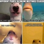 Online Meetings/Classes are wild | DIFFERENT PEOPLE IN ONLINE MEETINGS/CLASSES:; THE: “I DON’T WANT TO BE HERE”; THE: “CAN YOU HEAR ME NOW?”; AND THE: *DEATH STARES INTO THE CAMERA/YOUR SOUL*; THE: “I JUST GOT UP” | image tagged in animals close to camera | made w/ Imgflip meme maker