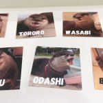 LOUTRE Characters