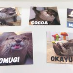 LOUTRE Characters 2