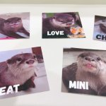 LOUTRE Characters 3