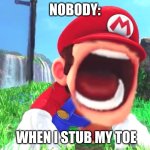 Mario screaming | NOBODY:; WHEN I STUB MY TOE | image tagged in mario screaming | made w/ Imgflip meme maker