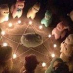 Ovelinhas fazendo um ritual