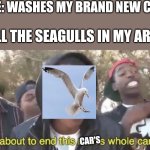 All seagulls in a 10 mile radius will destroy any and all clean cars | ME: WASHES MY BRAND NEW CAR; ALL THE SEAGULLS IN MY AREA:; CAR'S | image tagged in i m about to end this man s whole career,seagull,memes,cars,funny,oh wow are you actually reading these tags | made w/ Imgflip meme maker