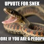 let's make the fun stream mad | UPVOTE FOR SNEK; IGNORE IF YOU ARE A PEDOPHILE | image tagged in warning snake | made w/ Imgflip meme maker