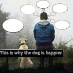 This is why the dog is happier