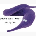 Peace was never a option worm