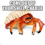 Come out Charlie | COME OUT OF YOUR SHELL, CHARLIE | image tagged in hermit crab | made w/ Imgflip meme maker