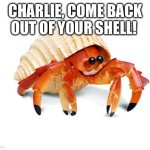 Oh Charlie | CHARLIE, COME BACK OUT OF YOUR SHELL! | image tagged in hermit crab | made w/ Imgflip meme maker