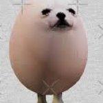 eggdog