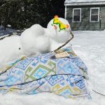 Snowbather